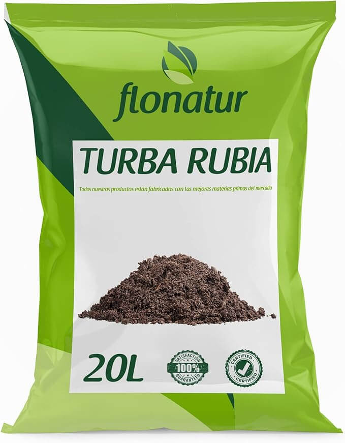 Turba Rubia bonsái