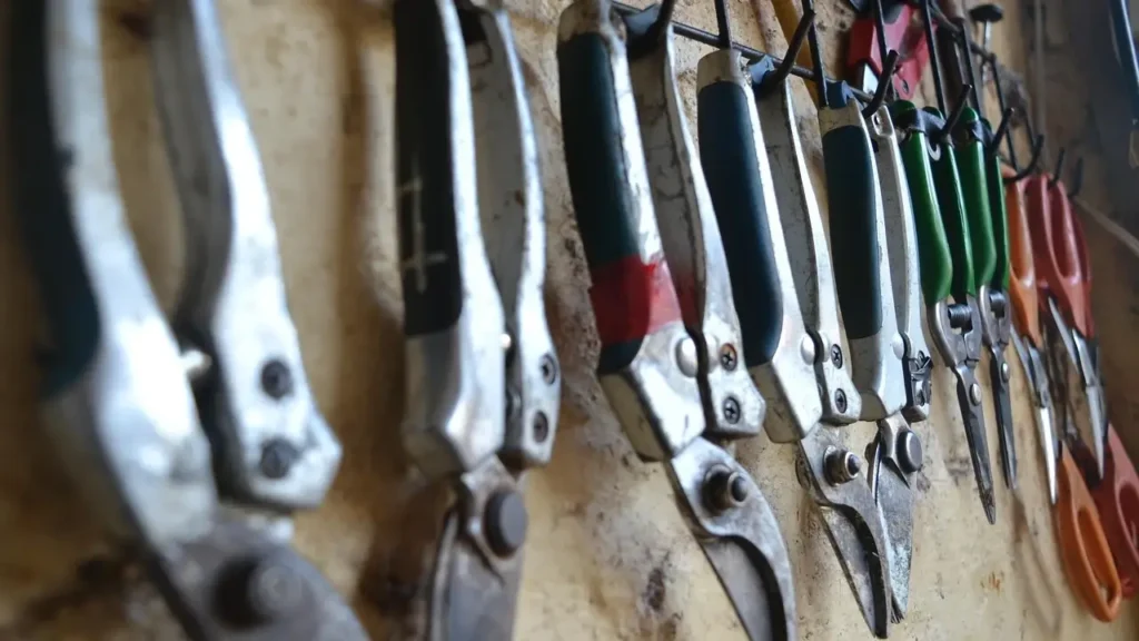 Las mejores tijeras de podar