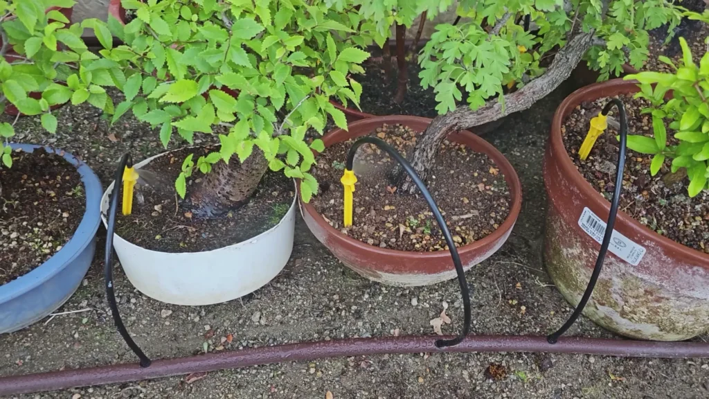 Riego automático para bonsái